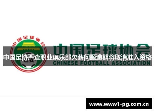 中国足协严查职业俱乐部欠薪问题逾期将取消准入资格